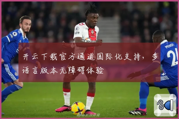 开云下载官方通道国际化支持,多语言版本无障碍体验