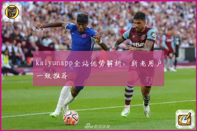 kaiyunapp全站优势解析，新老用户一致推荐