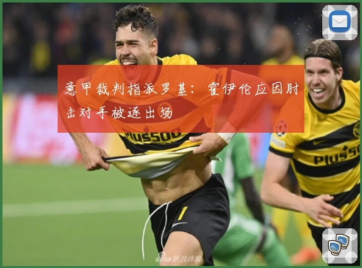 意甲裁判指派罗基：霍伊伦应因肘击对手被逐出场